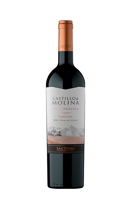 Vino gran reserva castillo molina carmenere