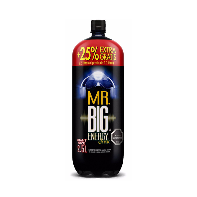 MR. BIG 2.5L