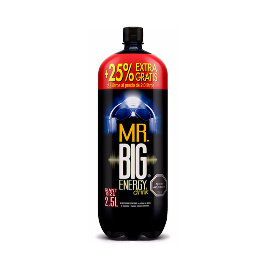 MR. BIG 2.5L