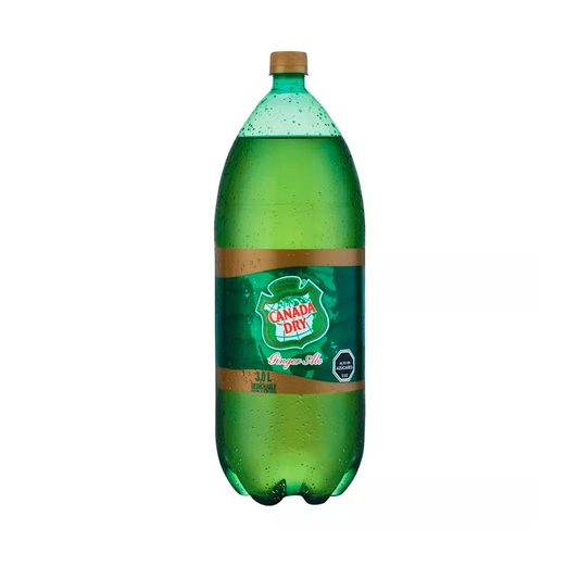 CANADA DRY GINGER ALE 3 LTS
